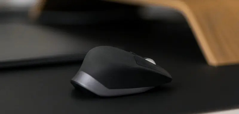 computer mouse (1)